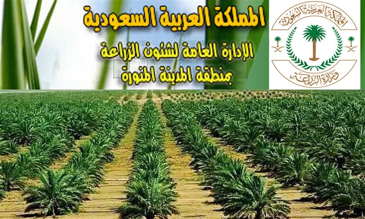 الإدارة العامة لشئون الزراعة بمنطقة المدينة المنورة تدعو مساهمي الجمعية التعاونية متعددة الأغراض ومنسوبي القطاع الزراعي بالمنطقة لحضور اللقاء التوعوي